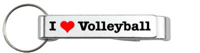 i love heart volleyball stickers, magnet