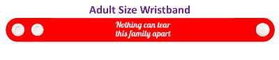 nothing can tear this family apart together stickers, magnet