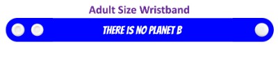 there is no planet b wordplay environment stickers, magnet