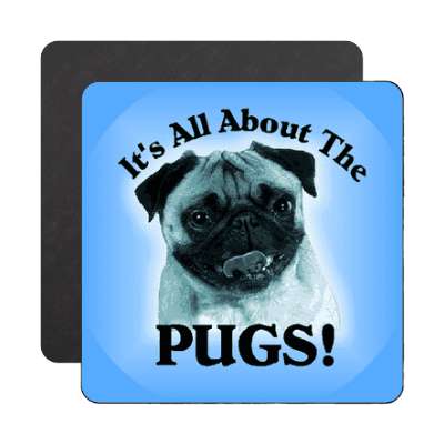 all about the pugs blue magnet