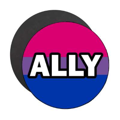 bisexual ally magnet
