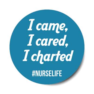 i came i cared i charted nurse life blue stickers, magnet