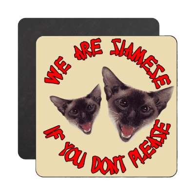 we are siamese if you dont please cats magnet