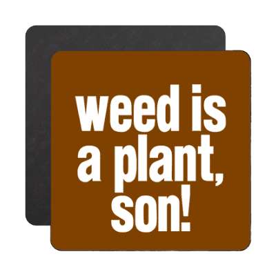 weed is a plant son magnet