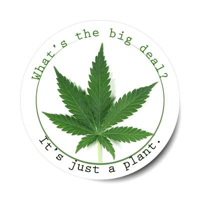 weed whats the big deal its just a plant sticker