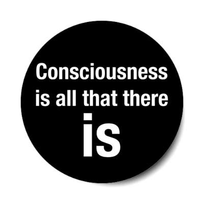 consciousness is all that there is stickers, magnet