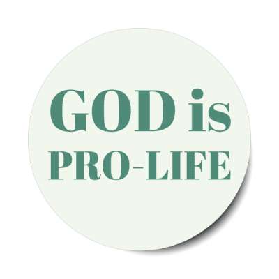 god is pro life christian anti abortion stickers, magnet