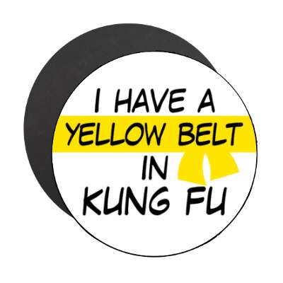 i have a yellow belt in kung fu stickers, magnet