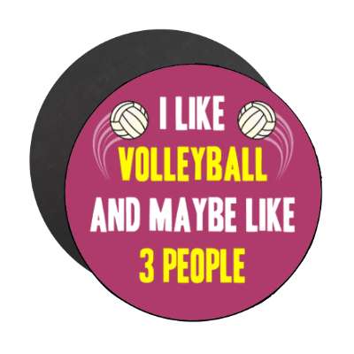 i like volleyball and maybe like three people stickers, magnet