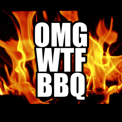 Omg Wtf Bbq Fire Stickers, Magnet | Wacky Print