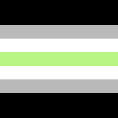 Agender Pride Flag Stickers Magnet Wacky Print Agender Pride Flag Stickers Magnet Wacky Print
