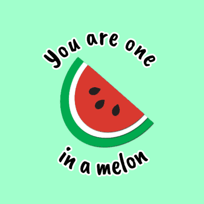You Are One In A Melon Watermelon Pun Stickers, Magnet | Wacky Print