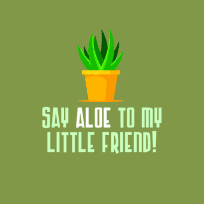 Say Aloe To My Little Friend Hello Stickers, Magnet | Wacky Print