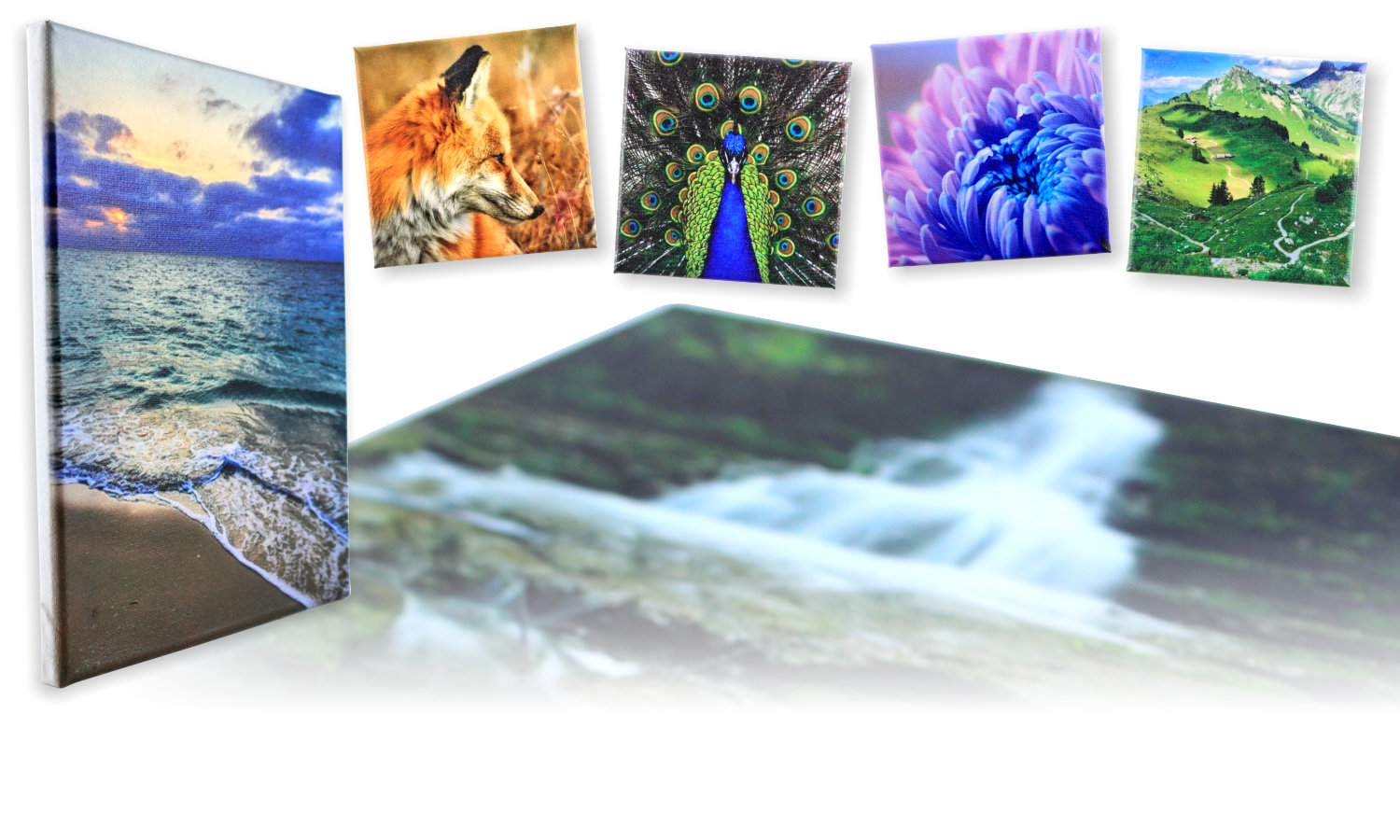Beautiful Photo Canvases