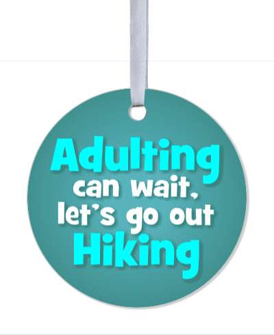 adulting can wait lets go hiking teal stickers, magnet