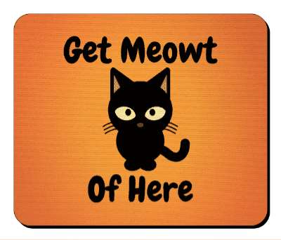 angry cute cat get meowt of here orange stickers, magnet