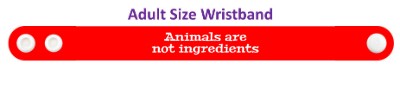 animals are not ingredients stickers, magnet