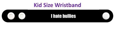 antibully i hate bullies stickers, magnet