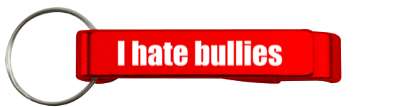 antibullying i hate bullies stickers, magnet