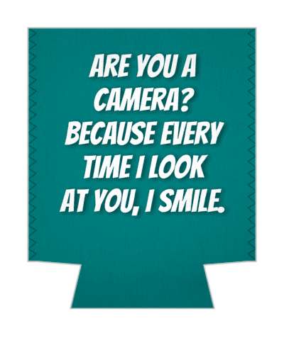 are you a camera because every time i look at you i smile pickup line stickers, magnet