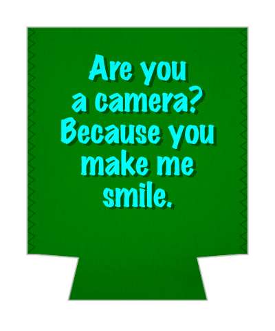 are you a camera because you make me smile pickup line stickers, magnet