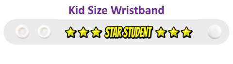 award yellow star student stickers, magnet
