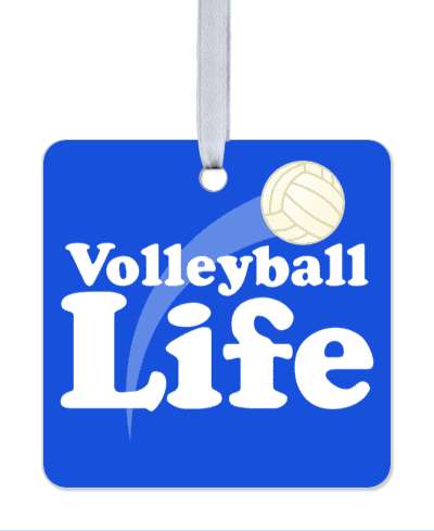ball thrown blue volleyball life sports player stickers, magnet