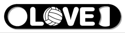 black white love volleyball sports stickers, magnet