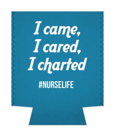 blue white i came i cared i charted nurse life stickers, magnet
