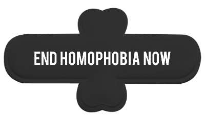 bold end homophobia now stickers, magnet