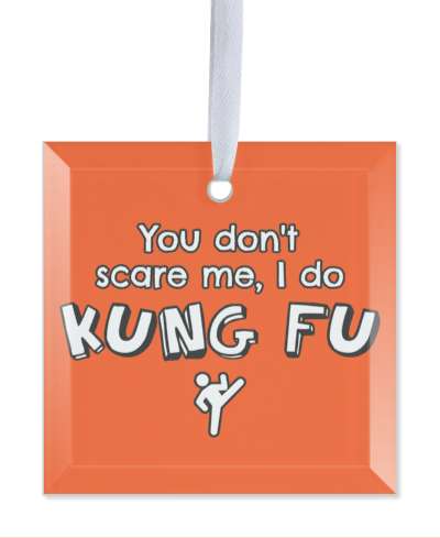 bright red you dont scare me i do kung fu sports stickers, magnet