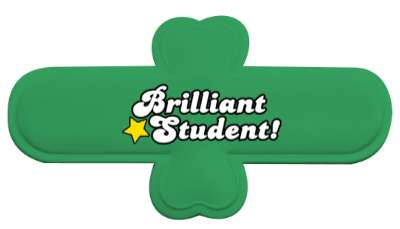 brilliant student star stickers, magnet