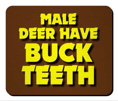 brown yellow male deer have buck teeth pun stickers, magnet