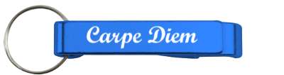 carpe diem latin aphorism stickers, magnet