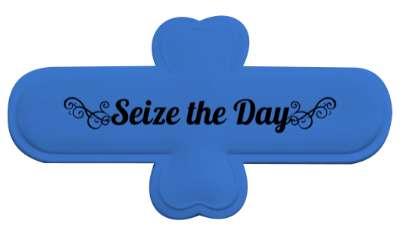 carpe diem seize the day stickers, magnet