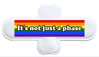 colors lgbt lgbtq rainbow its not just a phase stickers, magnet