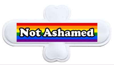 colors lgbt lgbtq rainbow not ashamed stickers, magnet