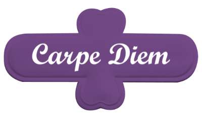 cursive seize the moment day carpe diem stickers, magnet