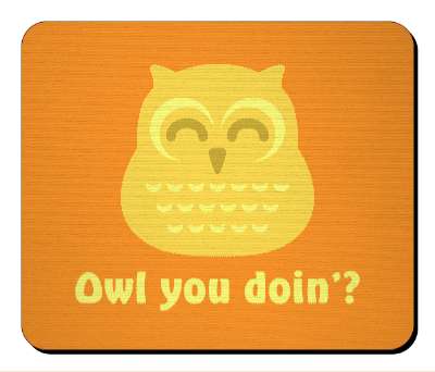 cute owl you doing orange yellow stickers, magnet