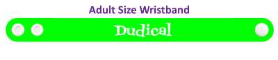 dudical radical dude mashup stickers, magnet