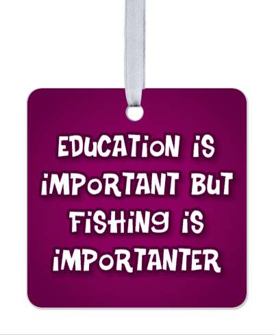 education is important but fishing is importanter wordplay funny deep purple stickers, magnet