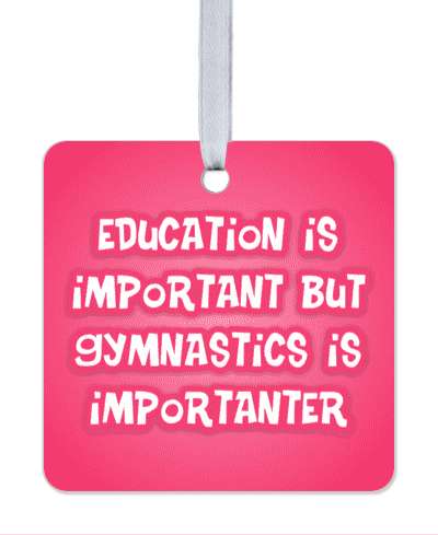 education is important but gymnastics is importanter funny rays pink stickers, magnet