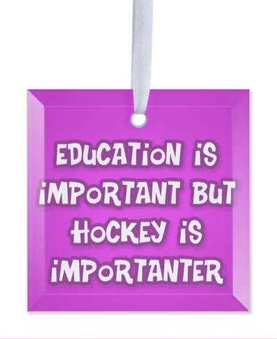 education is important but hockey is importanter wordplay funny purple white stickers, magnet