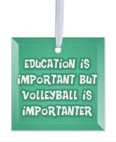 education is important but volleyball is importanter funny green stickers, magnet
