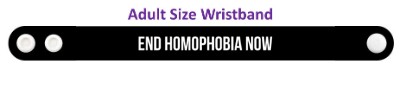 end homophobia now activism stickers, magnet