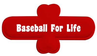 fanatic baseball for life stickers, magnet