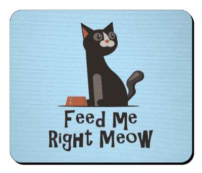 feed me right meow funny cat wanting to eat stickers, magnet