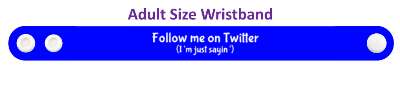 follow me on twitter im just saying promotion stickers, magnet