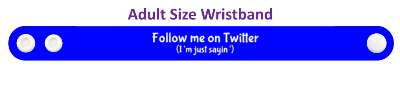 follow me on twitter im just saying promotion stickers, magnet