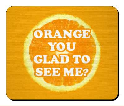 food humor orange you glad to see me orange slice stickers, magnet